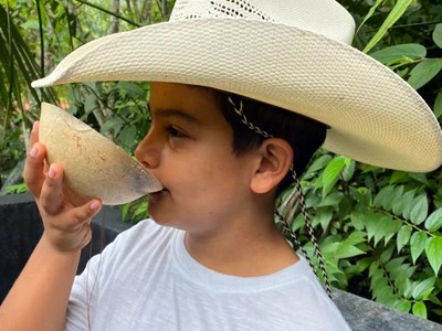 Ingreso Pasadía Básico - Granja Extrema Villeta - Villeta, Cundinamarca - image - 8