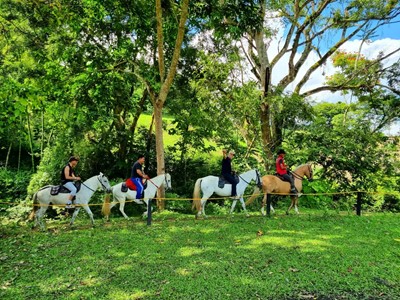 Cabalgatas Grupales - Granja Extrema Villeta - Villeta, Cundinamarca - image - 4