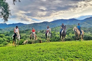 Habitación Campesina Plan Full - Granja Extrema Villeta - Villeta, Cundinamarca - image - 15