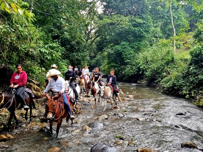 Ingreso Pasadía Full - Granja Extrema Villeta - Villeta, Cundinamarca - image - 4