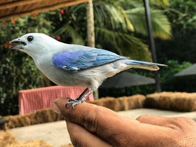 Ingreso Pasadía Full - Granja Extrema Villeta - Villeta, Cundinamarca - image - 6