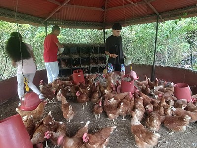 Ingreso Pasadía Full - Granja Extrema Villeta - Villeta, Cundinamarca - image - 11